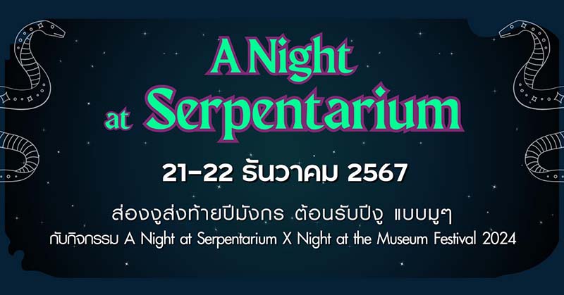 Night at the Museum Festival 2024 สยาม เซอร์เพนทาเรียม