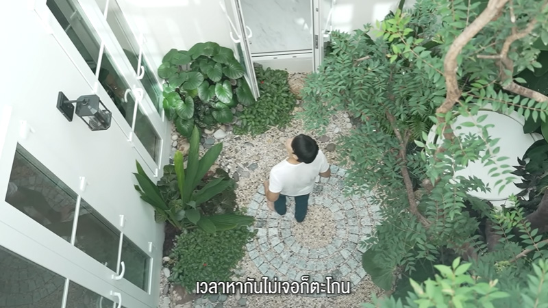 บ้าน หมาก คิม สวนกลางบ้าน