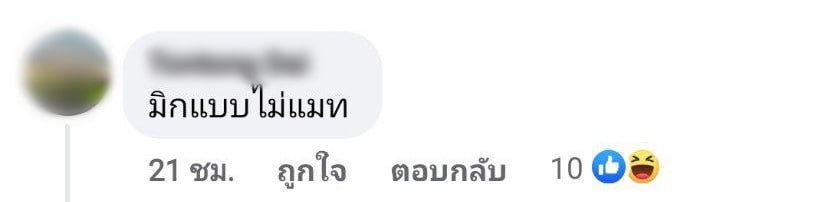 แอนนา เสืองามเอี่ยม