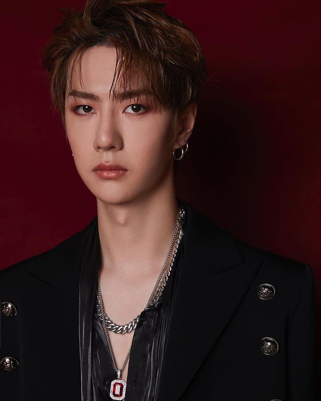 หวังอี้ป๋อ