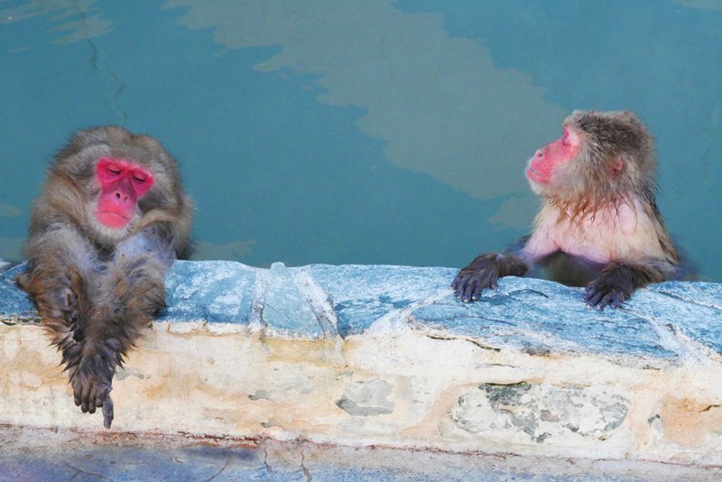 บ่อน้ำพุร้อนยุโนะคาวะ ที่เที่ยวฮอกไกโด 