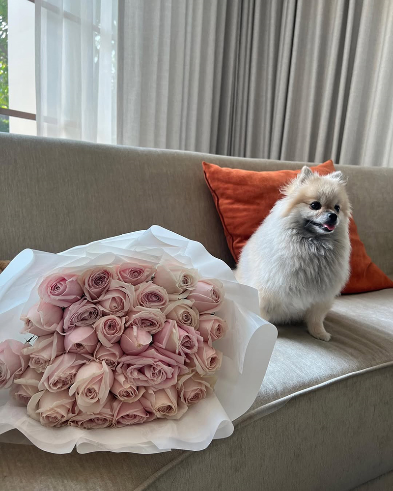 นิกกี้ แจงส่งดอกไม้วาเลนไทน์ให้ ก้อย อรัชพร