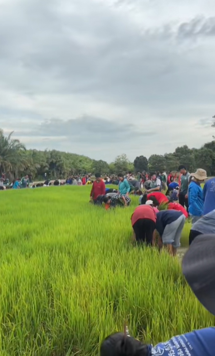 นักศึกษา