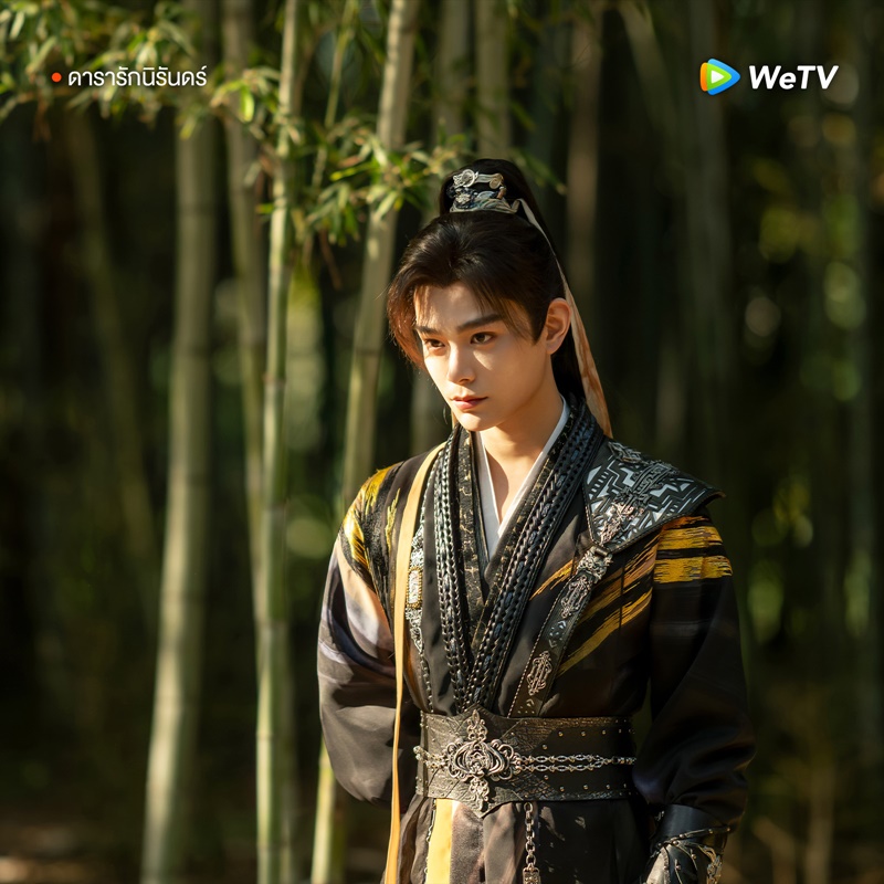 ดารารักนิรันดร์ นำแสดงโดย ติงอวี่ซี