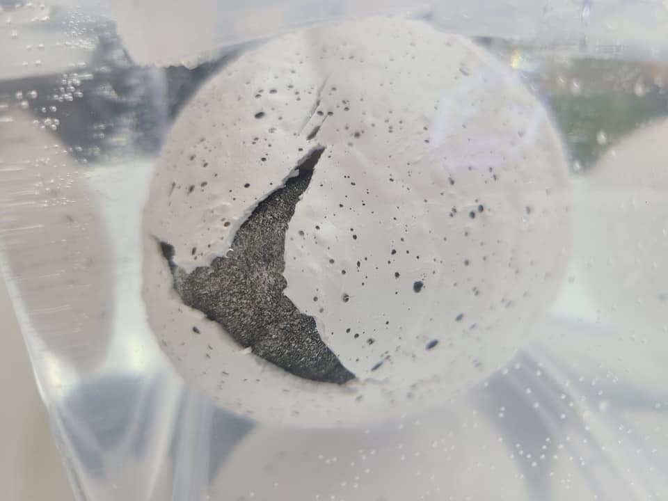 ไข่เพนกวิน