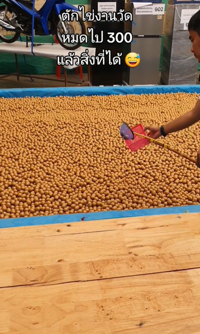 ตักไข่งานวัด