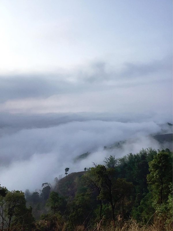 ดอยแม่มอญ เชียงราย