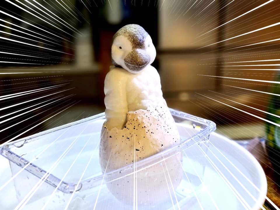 ไข่เพนกวิน