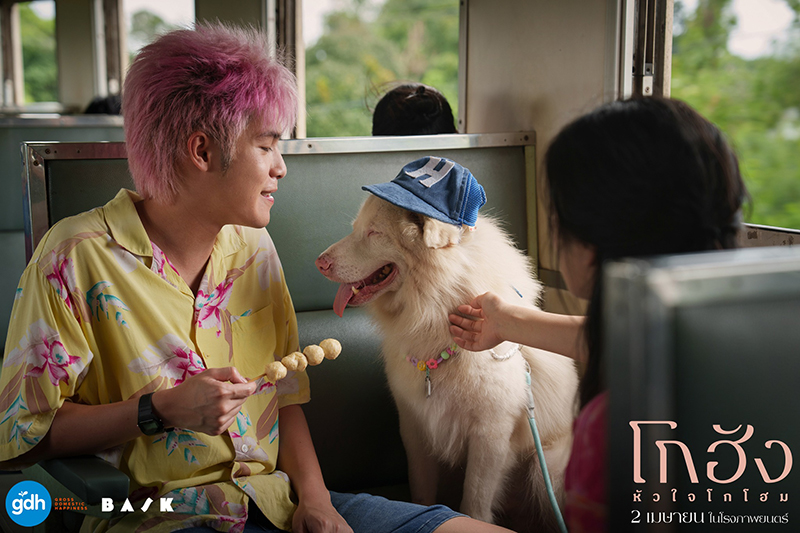 หนัง โกฮัง หัวใจโกโฮม หนังเกี่ยวกับสุนัข หนังใหม่ GDH 2569