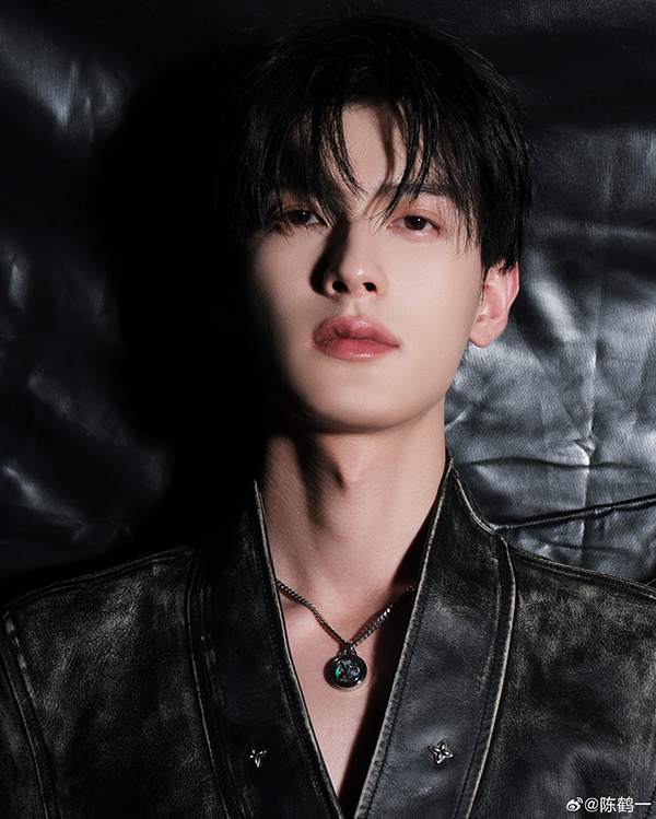 เฉินเฮ่ออี้ ประวัติ
