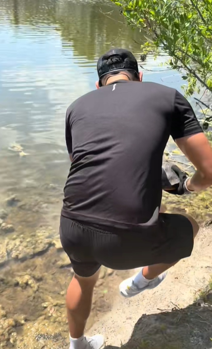 ปล่อยเต่า