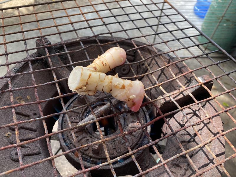 ข้าวต้มปลา