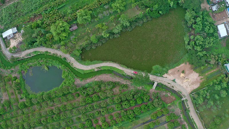 กรมโยธาธิการและผังเมือง