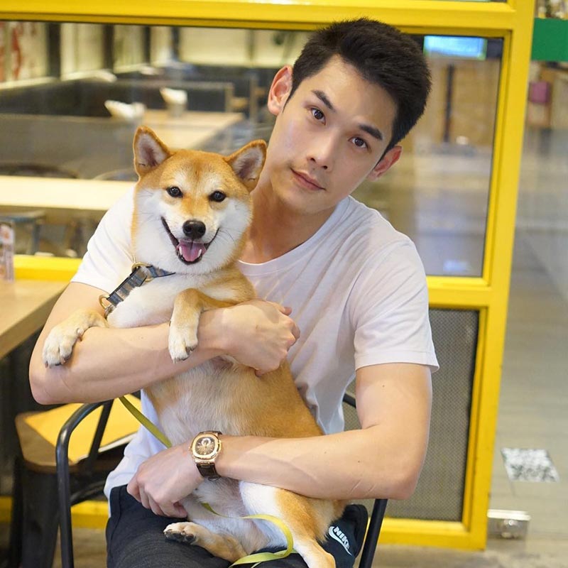 สัตว์เลี้ยงดารา