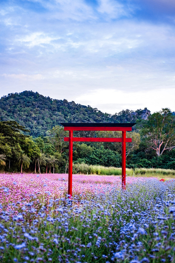 Hokkaido Flower Park เขาใหญ่