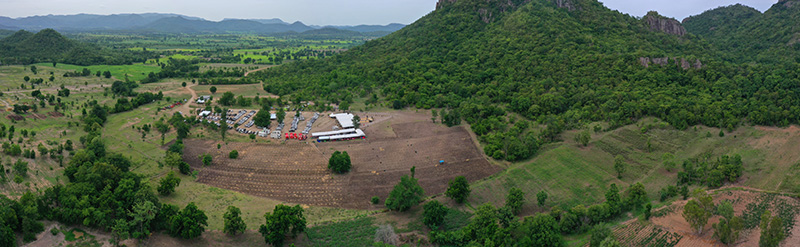 ปลูกป่า ปตท.