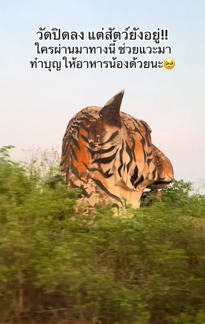 วัดป่าหลวงตาบัว