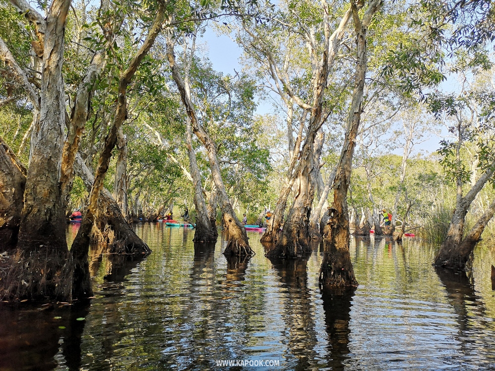 เที่ยวระยอง