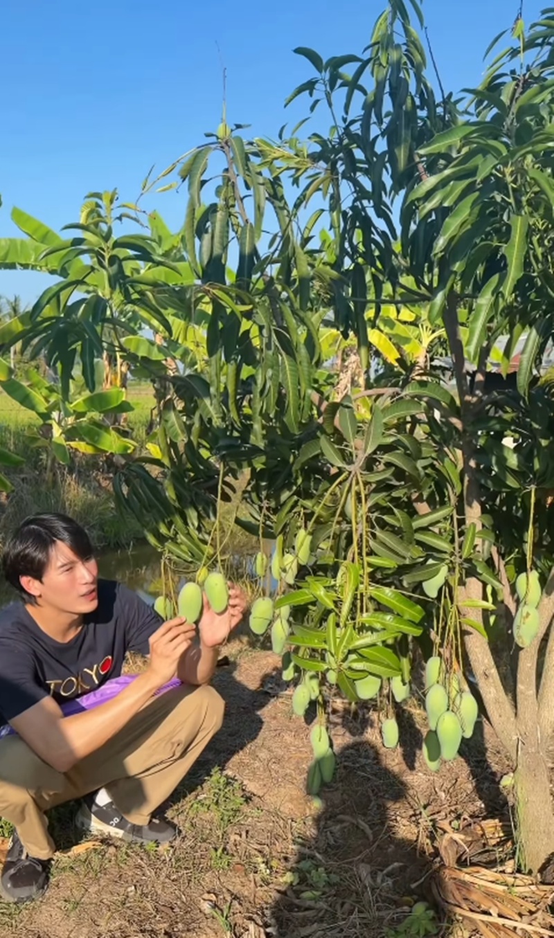 เคน ภูภูมิ