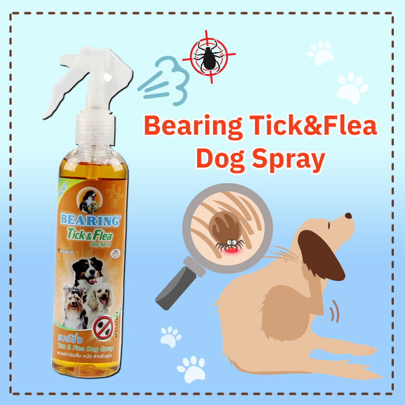 สเปรย์กำจัดเห็บหมัด