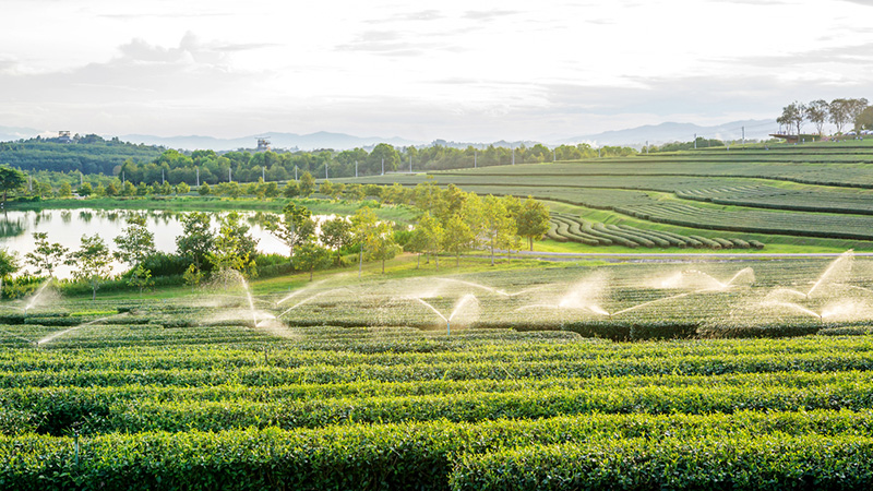 ที่เที่ยวเดือนพฤศจิกายน 2563