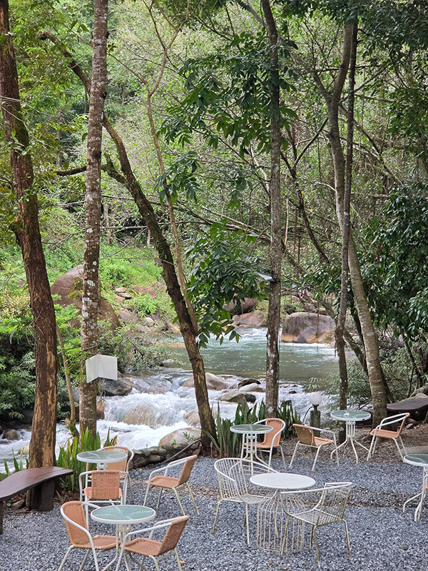 ร้านคาเฟ่หน้าฝน