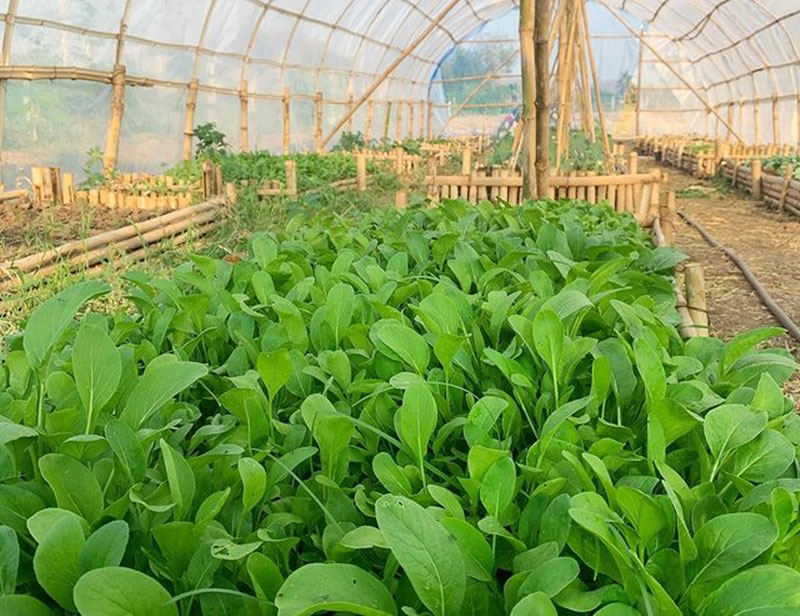 บ้านสวนดารา