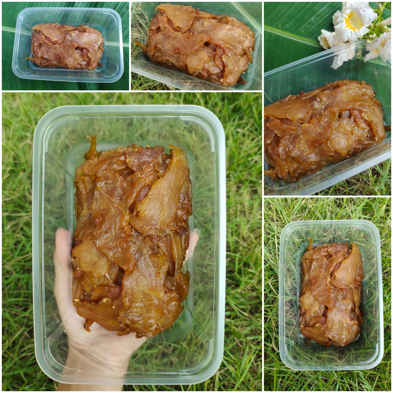 ไก่สวรรค์