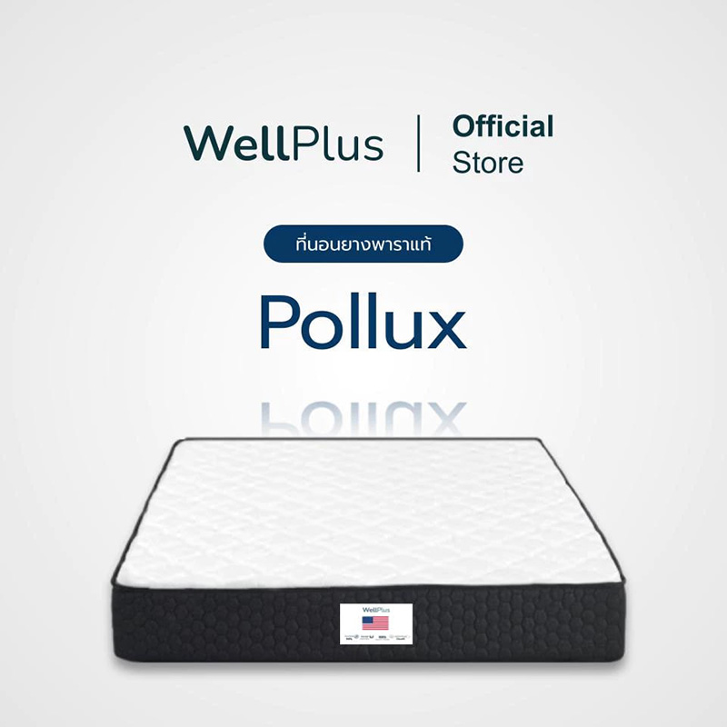 WellPlus ที่นอน 3 ฟุต ยี่ห้อไหนดี