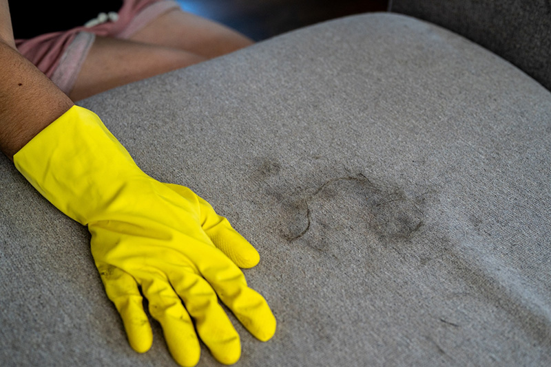 รวมทริกทำความสะอาดบ้าน