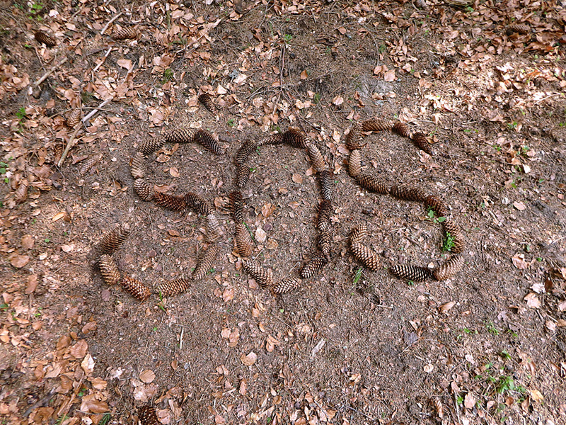 สัญญาณขอความช่วยเหลือ