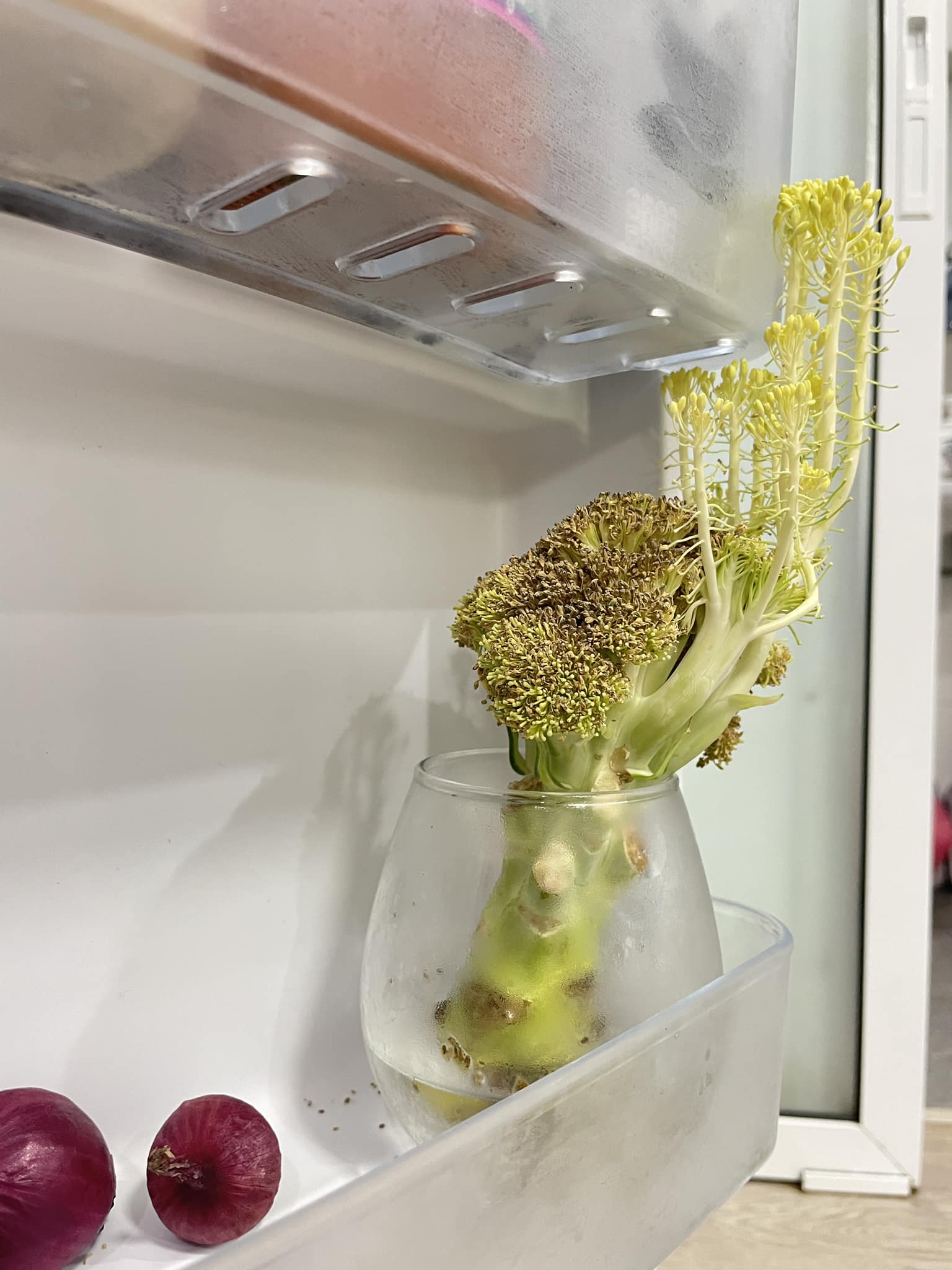 บรอกโคลี