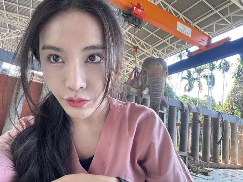 หมอโบว์ รักษาช้าง
