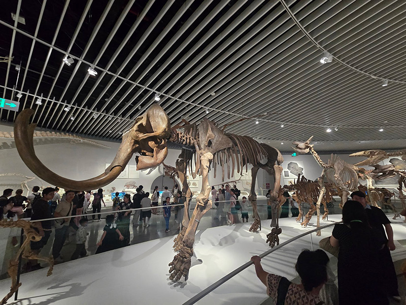 Natural History Museum Shenzhen ที่เที่ยวเซินเจิ้น