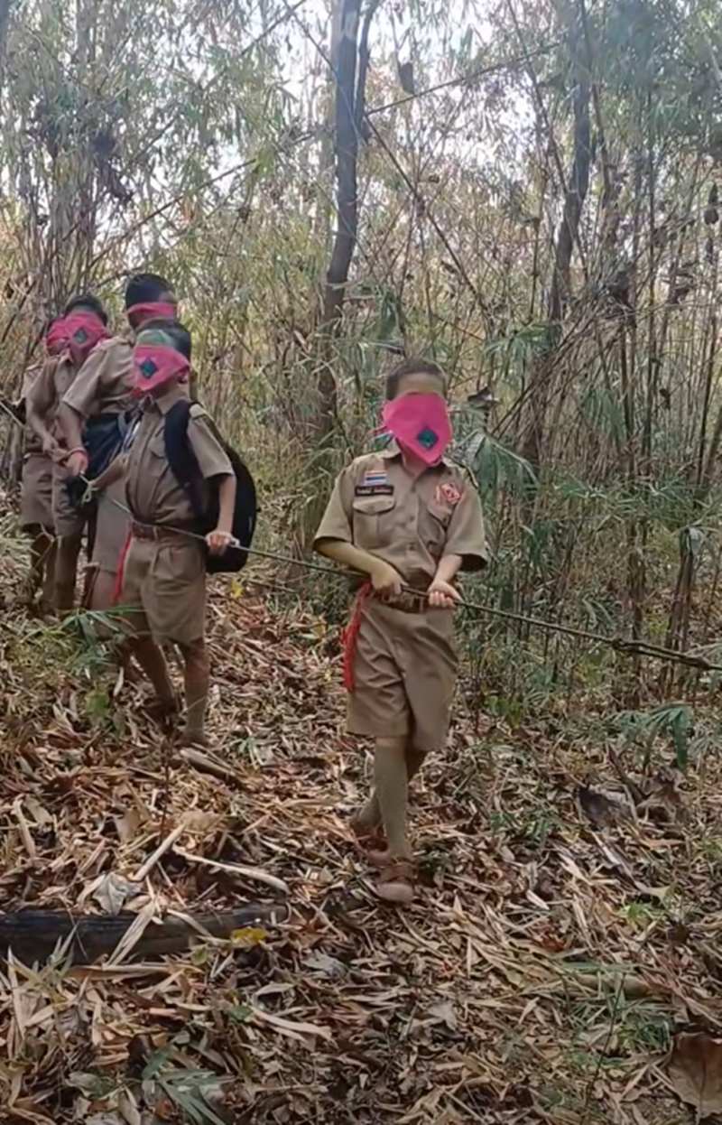 เดินป่า