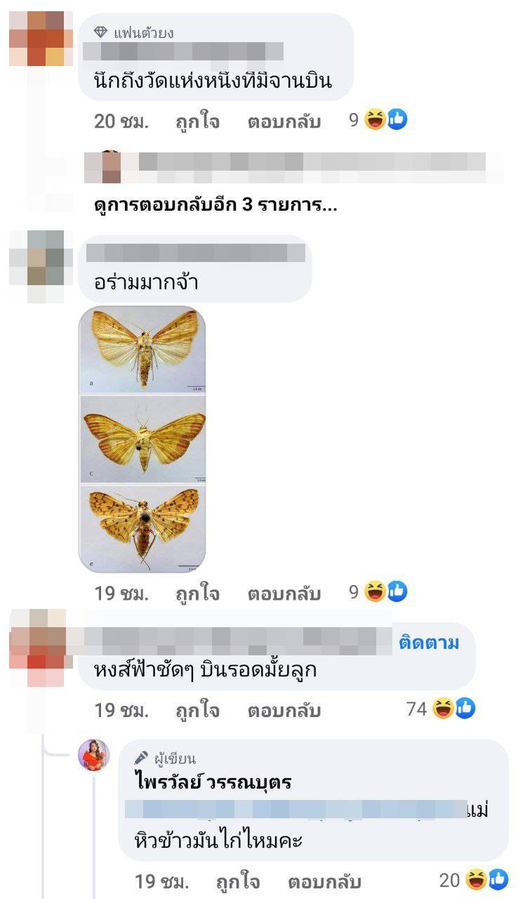 ไพรวัลย์ วรรณบุตร