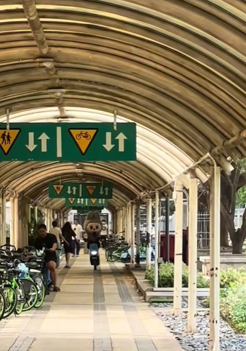 ลาบูบู้