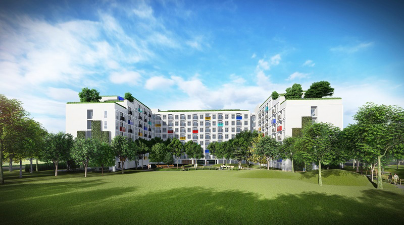 Senior Complex Project