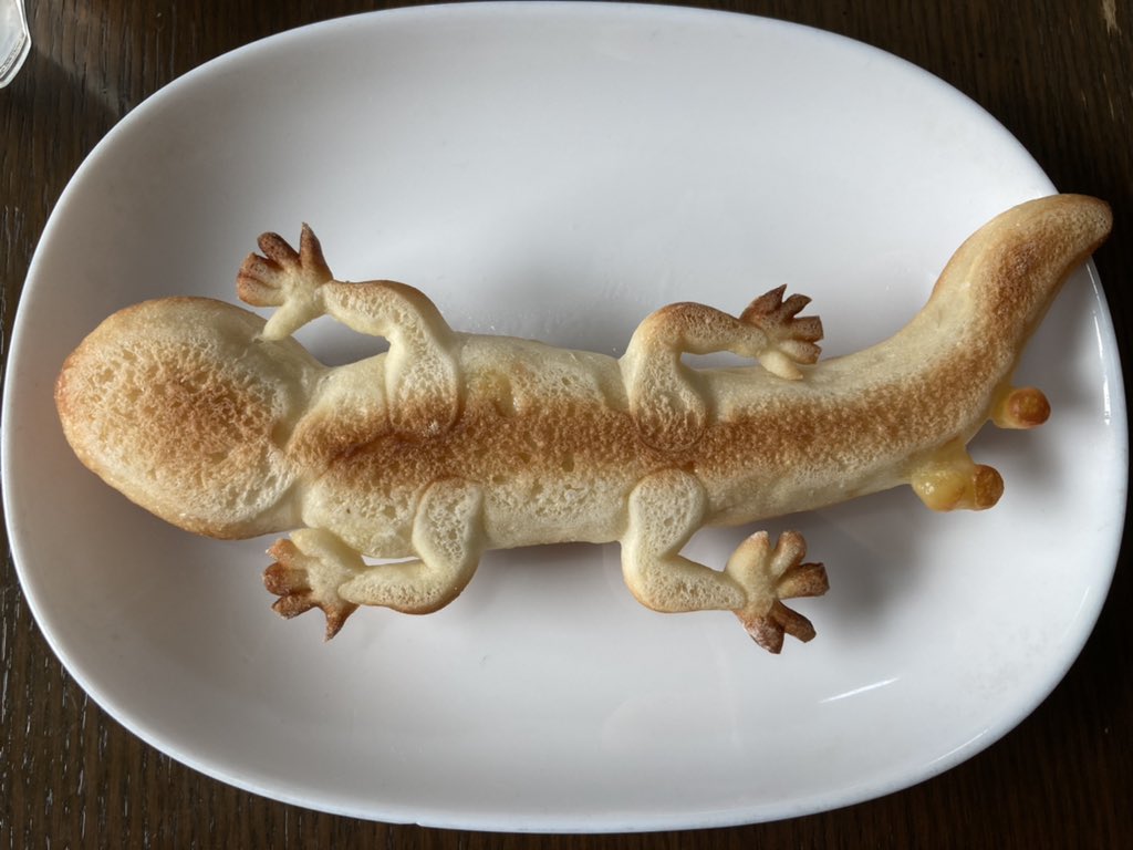 ขนมปังตุ๊กแก