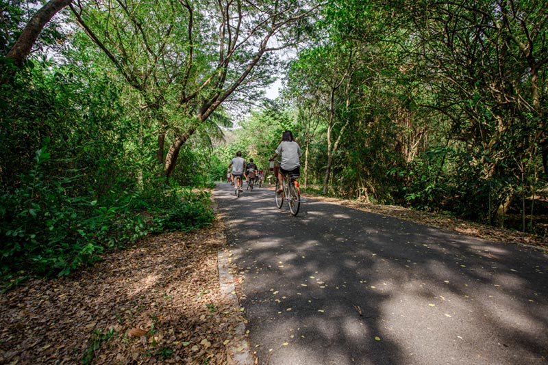 ตลาดน้ำใกล้กรุงเทพฯ