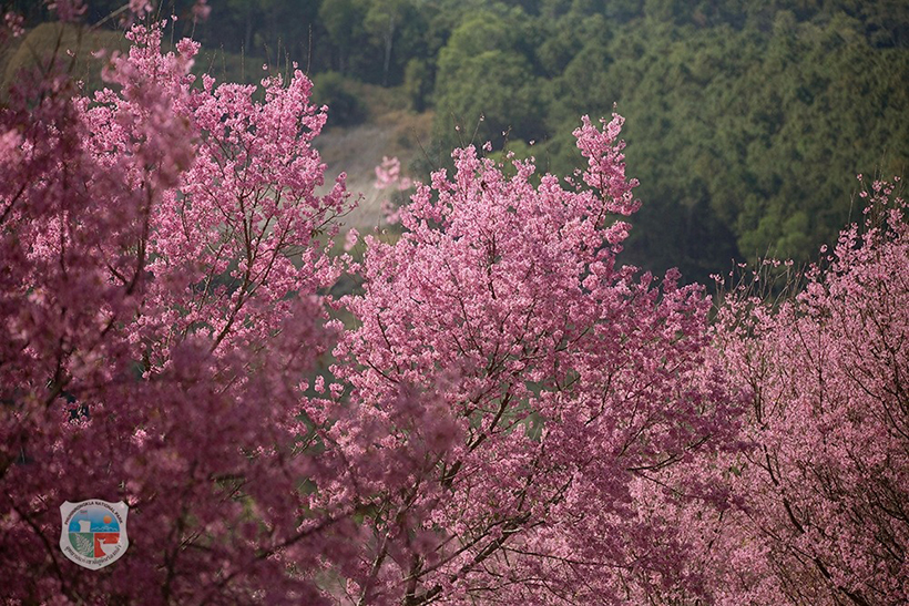 ภูลมโล 2569