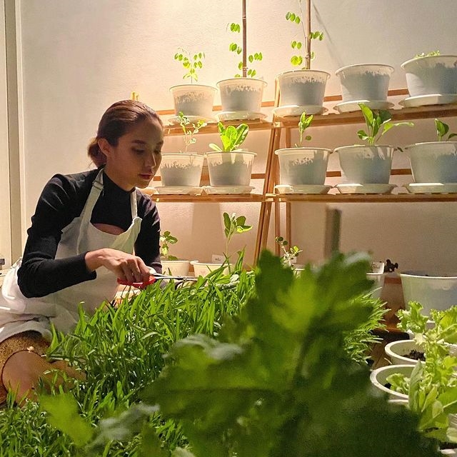 น้ำชา ชีรณัฐ