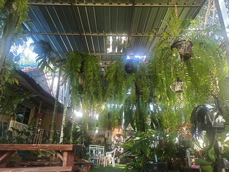 คาเฟ่ นครนายก