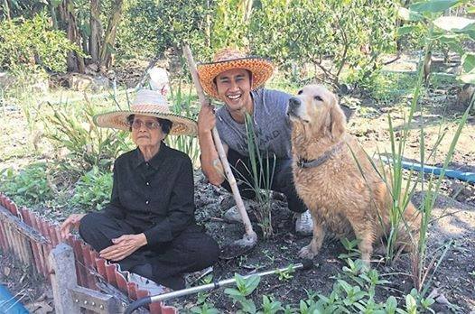 อนุวัต จัดให้