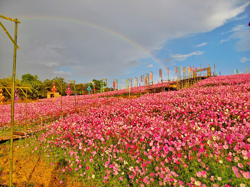 ที่เที่ยวเดือนมกราคม 2569 ซับสะเลเต