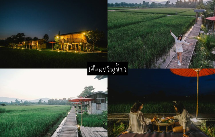 เที่ยวเชียวใหม่