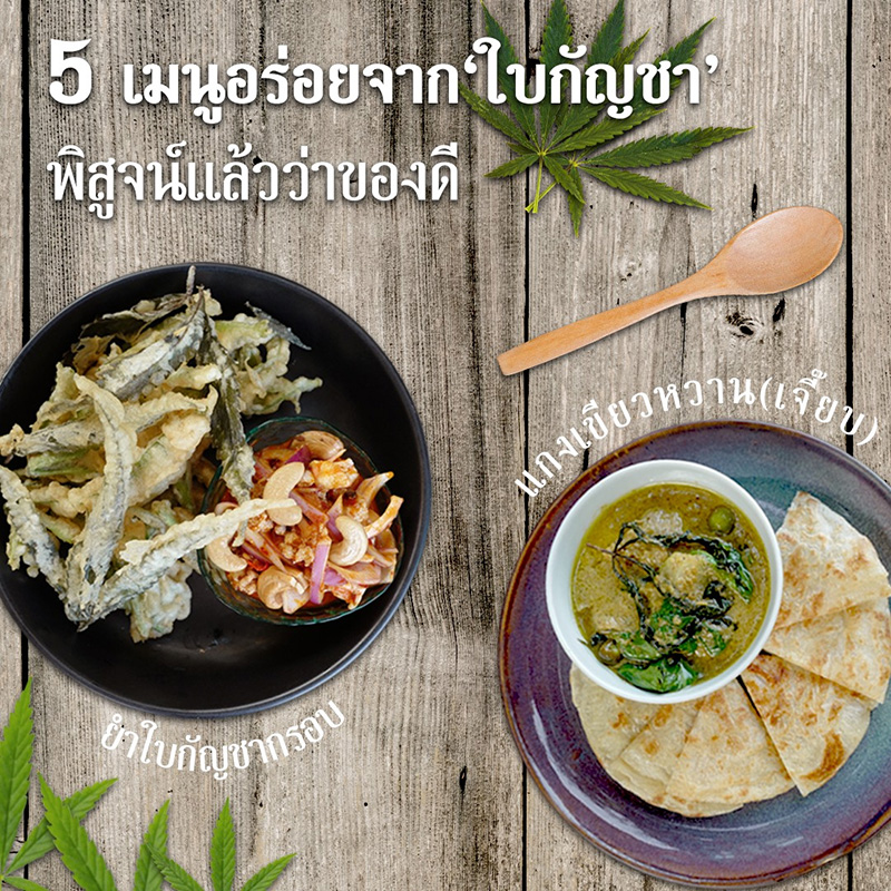ร้านอาหารกัญชาในไทย