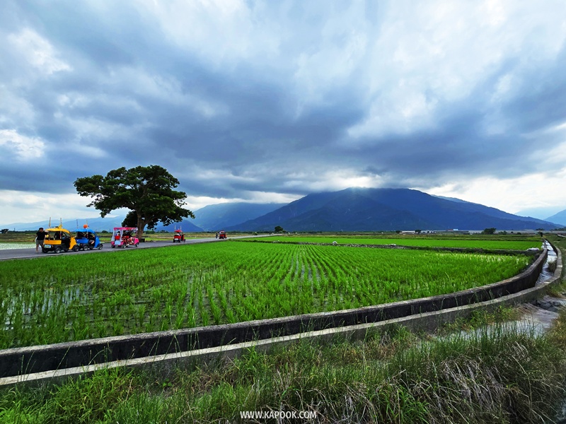 taiwan