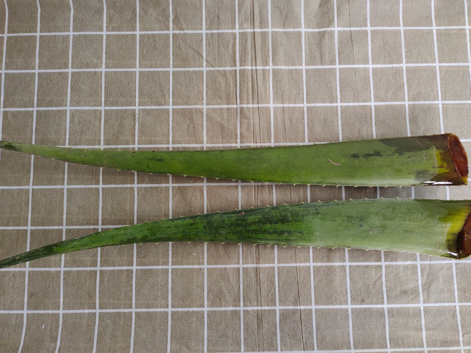 น้ำว่านหางจระเข้สูตรหวานน้อย