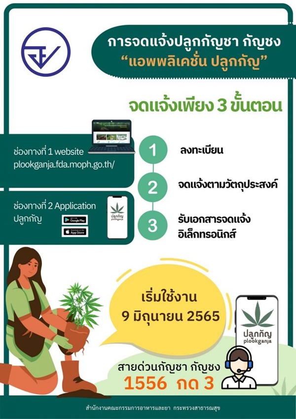 กัญชา
